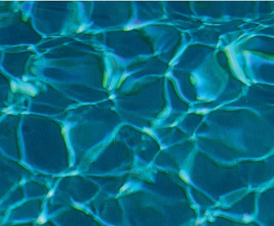 Leisure Pools Inground Fiberglass Pool Color Ebony Blue