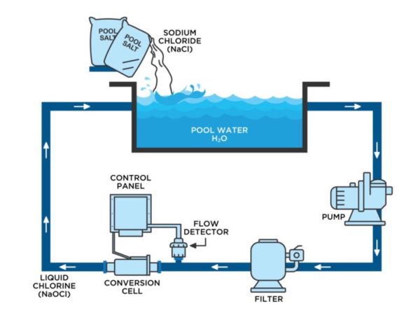 Pool Maintenance 101 | Water Chemistry | Leisure Pools Canada